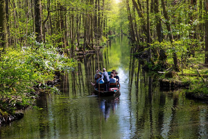 Spreewald von Tilo Grellmann