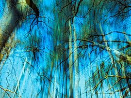 Spiritual forest by Anja Oosterwaal Fine Art Fotografie