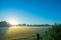 early morning