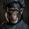 Chimpansee als franse chef van Bert Nijholt