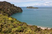 Baai in het Abel Tasman Nationaal Park in het voorjaar