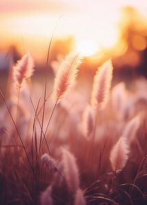 Goldene Stunde
