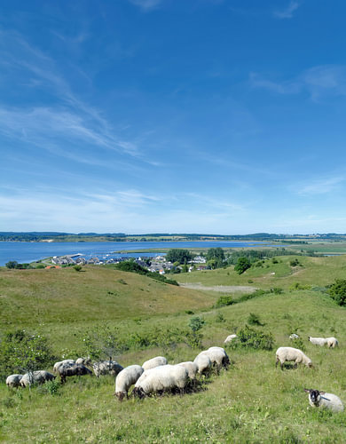 Wandergebiet Zickersche Berge,Naturschutzgebiet Mönchgut,Insel Rügen