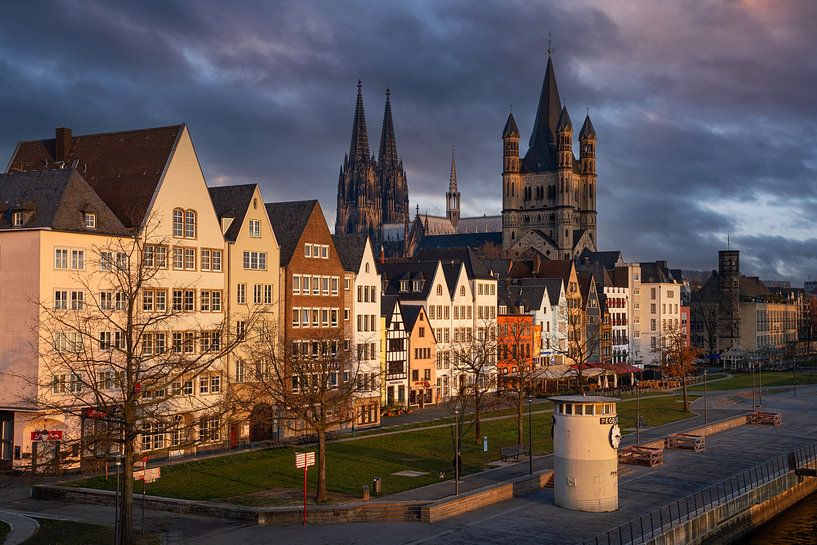 Cologne, North Rhine-Westphalia, Germany by Alexander Ludwig