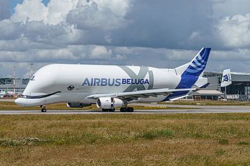 Airbus Beluga XL (Airbus A330-743L). van Jaap van den Berg