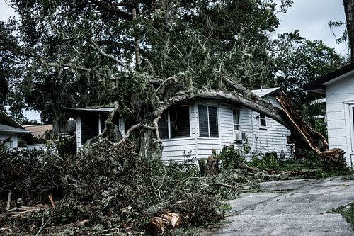 Die Verwüstungen des Hurrikans Irma