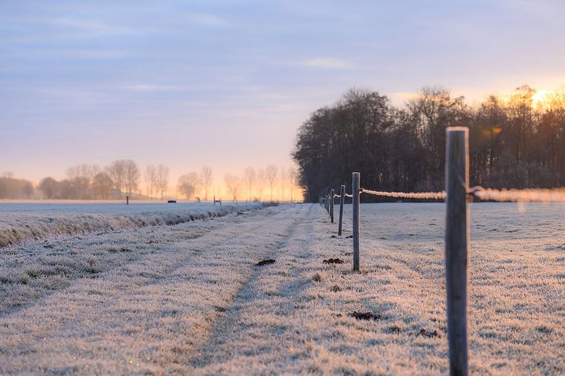 sun and frost by Tania Perneel