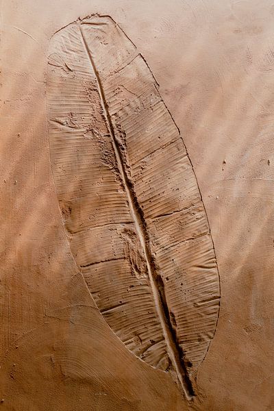 Terracotta wall with leaf shape by Annelene Simonse