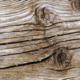 Wood by Sarah Richter