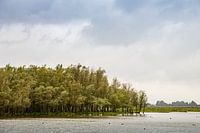 Sur les rives du Lauwersmeer