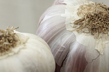 Garlic bol