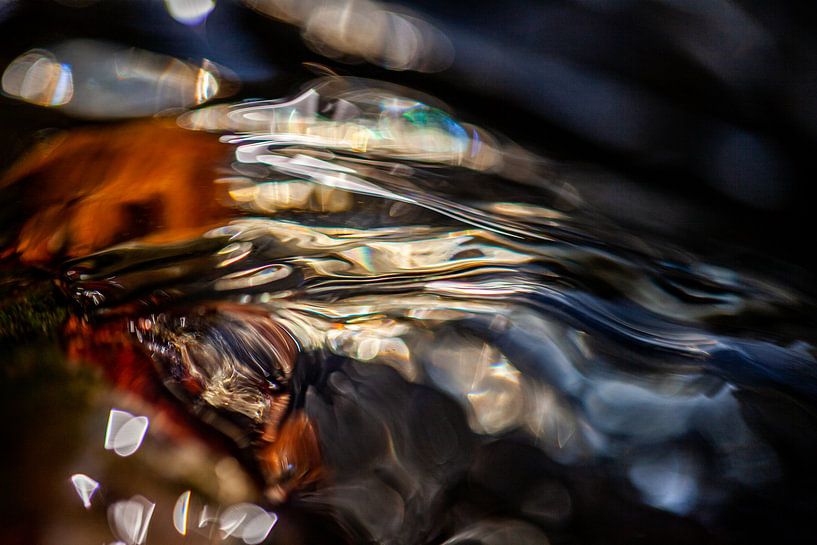 Die Schönheit des Zusammenspiels von Sonne, Wasser und Blättern von Betty van Engelen