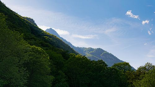 Almost windows wallpaper