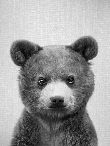 Baby Bear - Black & White