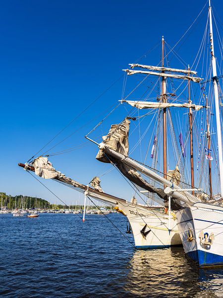 Segelschiffe auf der Warnow während der Hanse Sail in Rostock von Rico Ködder