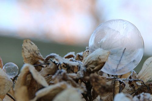 IJsbol - Bellenblaas.