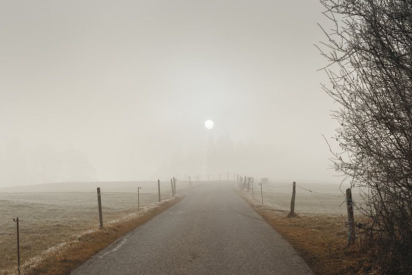Bright sun breaks through dense veil of fog by Besa Art