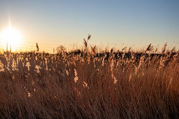 Hollandse zonsopgang van Photography by Cynthia Frankvoort
