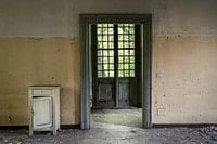 Door in Door