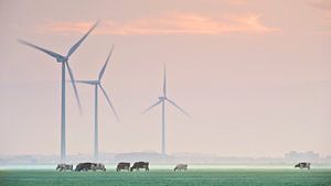 Modern Farming