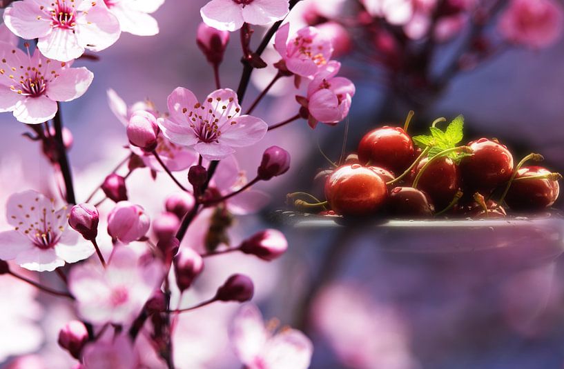 Verse kersen in de roze bloesemdroom van Tanja Riedel