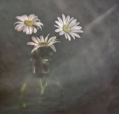 Un peu de lumière dans les jours sombres