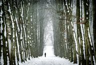 Walking in winterwonderland II van Chris Biesheuvel I  Dream Scapes thumbnail