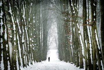 Walking in winterwonderland II van Chris Biesheuvel I  Dream Scapes