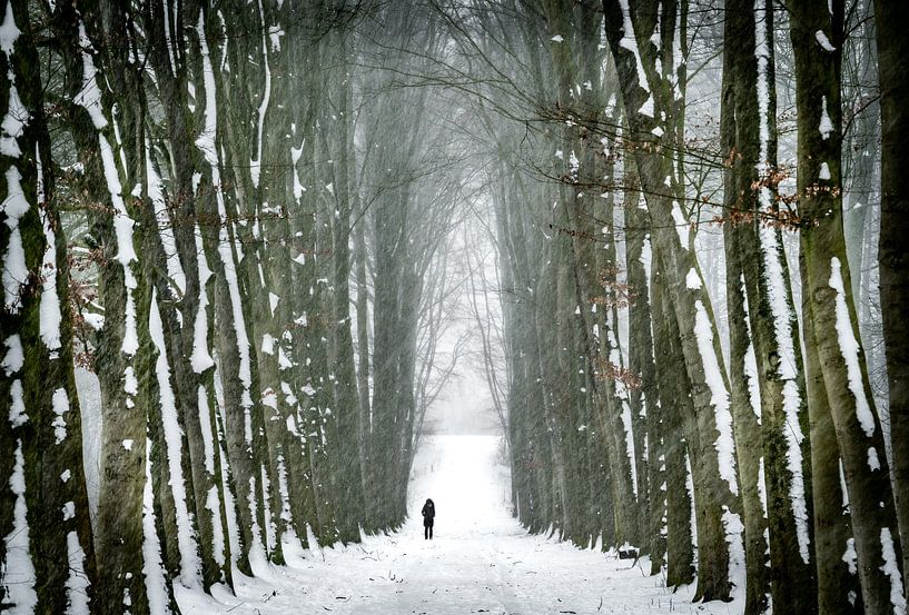 Walking in winterwonderland II van Chris Biesheuvel I  Dream Scapes