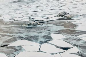 Aerial ice structures McMurdosound sur Family Everywhere