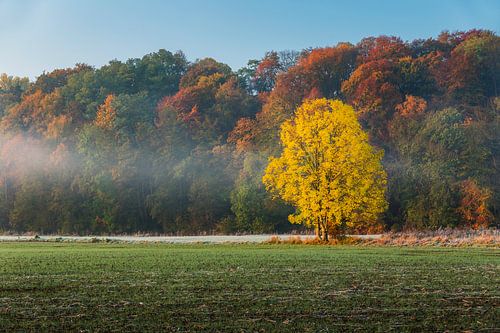 couleurs en automne