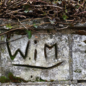 Wim Jacobs photo de profil