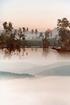 Mystic Java (seen at vtwonen)