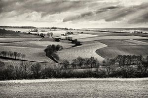 Fromberg