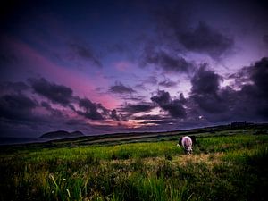 The Dingle Way sur Oscar van Crimpen