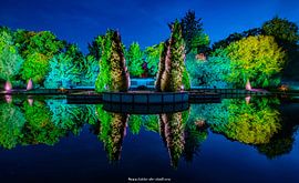 Wasserspieglung im Schlossgarten von TB-Fotogalerie
