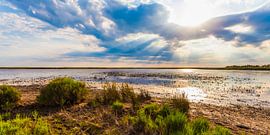 Étang de Vaccarès Nature Reserve in the Camargue – France by Werner Dieterich