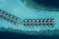 Malediven vanuit de lucht van Laura Vink thumbnail
