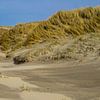Grassy sea dunes by Martijn Tilroe