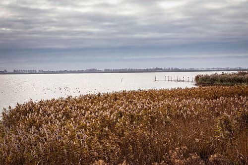 IJsselmeer