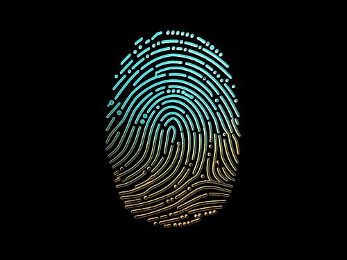 Futuristic Biometric Identity Design - Neon Blue and Gold Gradient Fingerprint Artwork