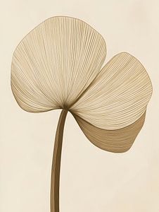 Trockenblume abstrakt