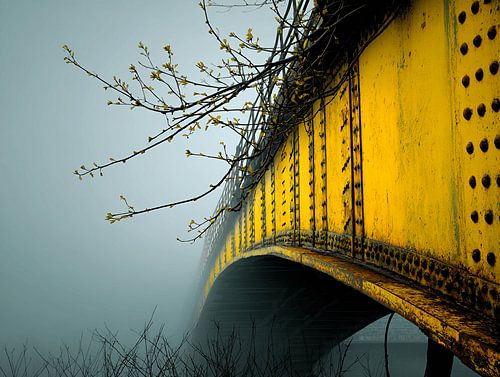 Yellow Reflections: Bridge on the Shore
