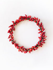 Hagebutten-Kranz von TYPIQE by Atelier Fauconnier