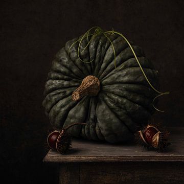 pumpkin and chestnut by Carolien van Schie