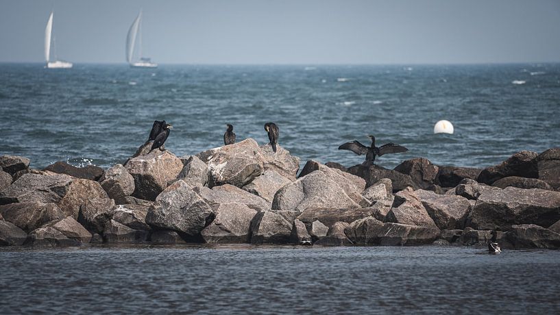 Ostsee von Andre Michaelis