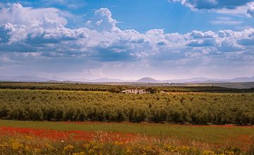Hacienda between the olive trees in Spain. by Hennnie Keeris