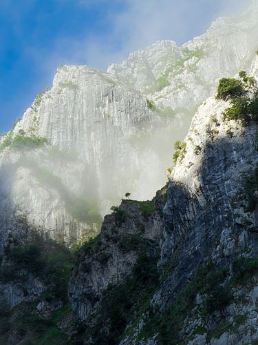 Mistige ochtend in de Picos