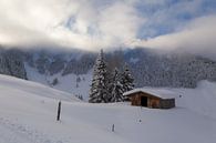 Berghut in de Sneeuw van Guido Akster thumbnail