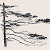Pine Tree Branch no. 2 by Apolo Prints